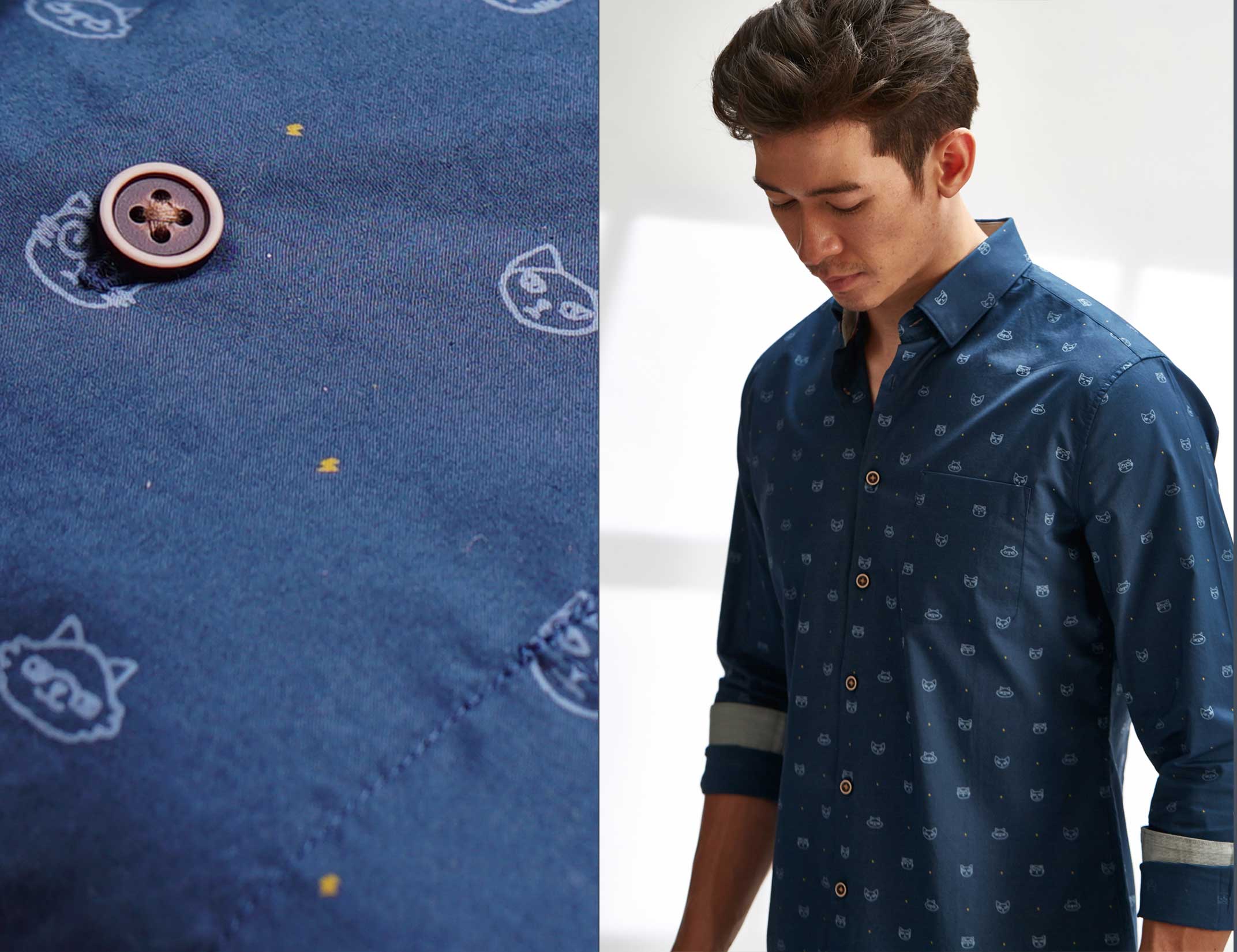 Cotton the First — Fearless Felines