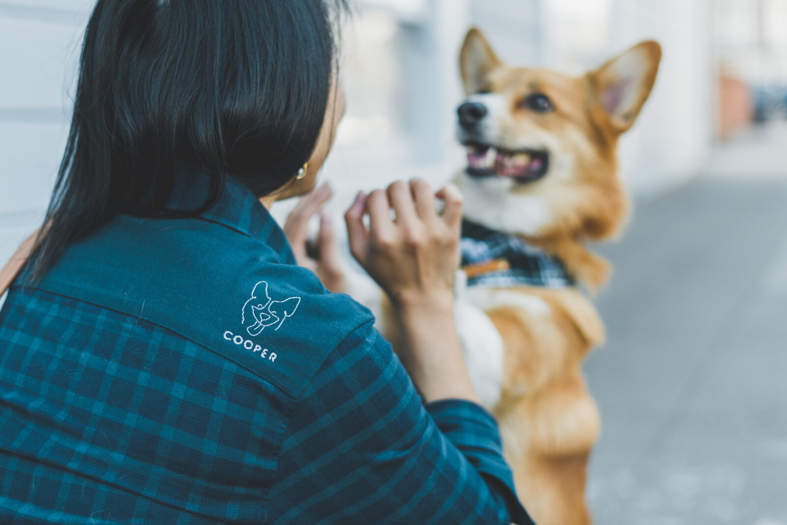 Woman wearing SPCA shirt with Cooper the Corgi embroidery, holding a Corgi